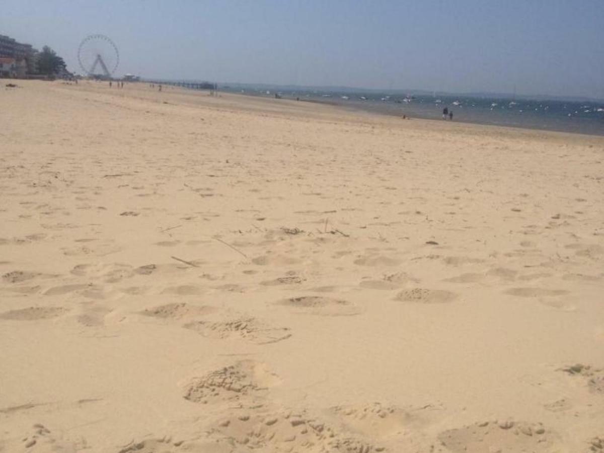 Studio Les Pieds Dans L'Eau By Interhome Arcachon Ngoại thất bức ảnh